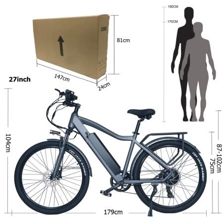 CMACEWHEEL F Electric Bike Inch Tires Silver Gray
