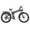 BURCHDA R Pro Electric Bike inch Tire Dark Green w p x