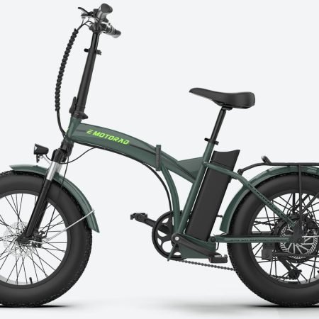 emotorad toledo pogo cycles