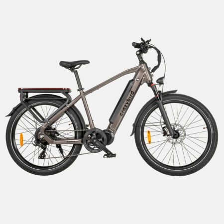 crazybird seta e bike pogo cycles