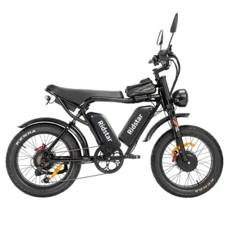 Ridstar Q Pro W Motor E Bike w p