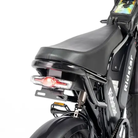 Ridstar Q Pro W Motor E Bike w p