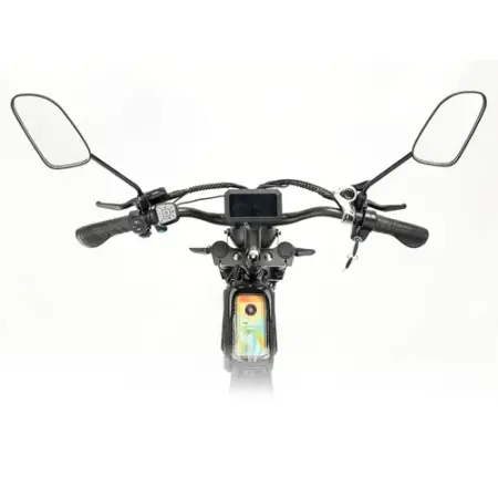 Ridstar Q Pro W Motor E Bike w p