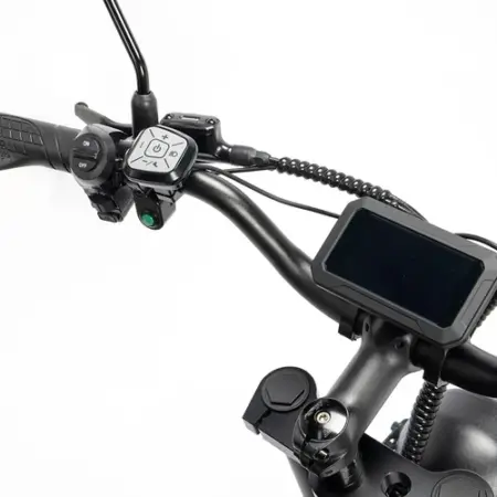 Ridstar Q Pro W Motor E Bike w p