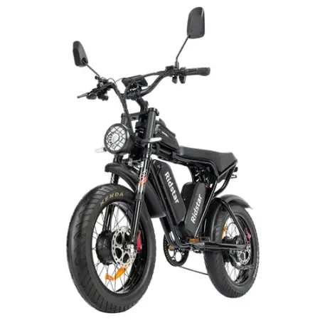 Ridstar Q Pro W Motor E Bike w p