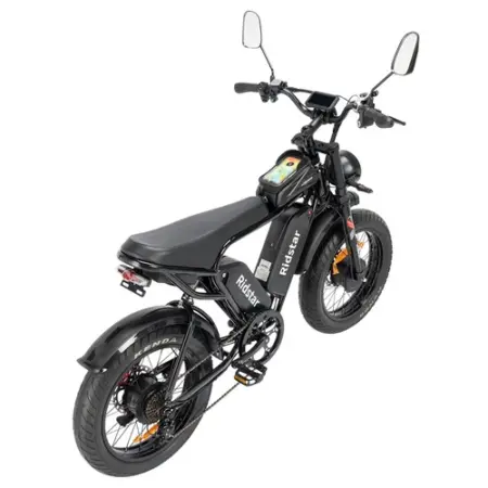 Ridstar Q Pro W Motor E Bike w p