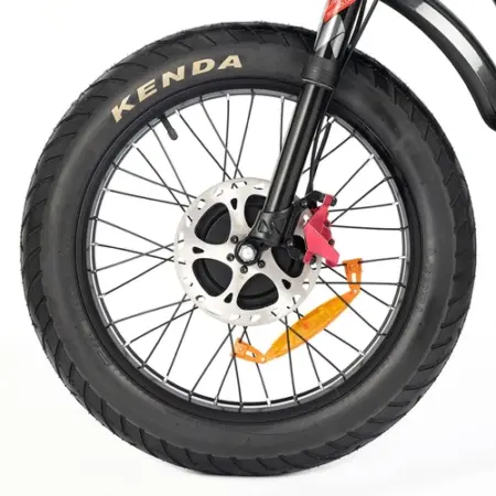 Ridstar Q Pro W Motor E Bike w p
