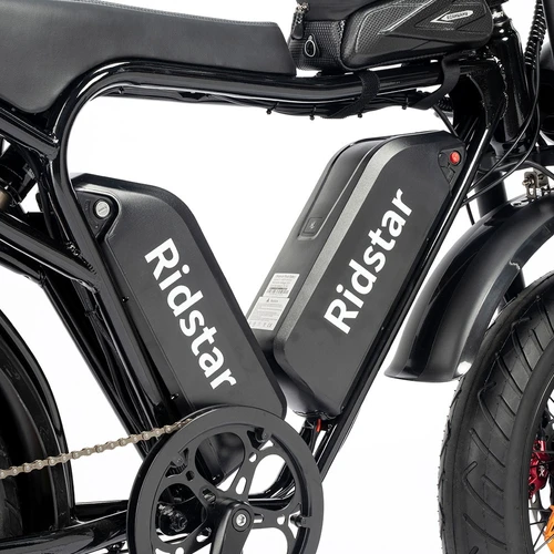 Ridstar-Q20-Pro-2000W-Motor-E-Bike-522945-9._w500_p1_ Ridstar Q Pro W Motor E Bike w p