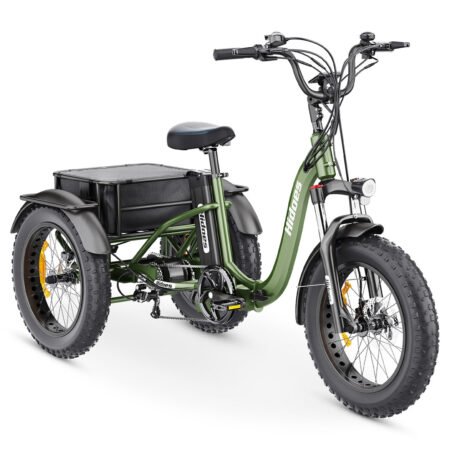 HidoesETelectrictricycle x