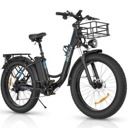 ridstar mn electric bike pogo cycles