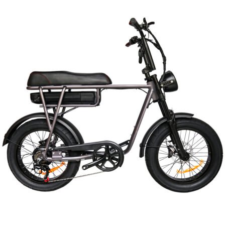 tourwheel fatbike t coffee zijaanzicht rechts