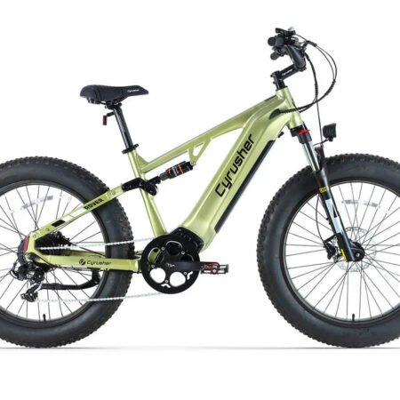 CyrusherRoverE Bike Green Main
