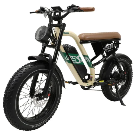 ONESPORT W Electric Bike W Ah w p