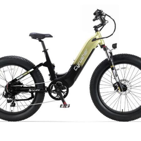 Cyrusher Roam E Bike Green