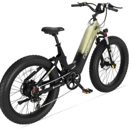 Cyrusher Roam E Bike Green