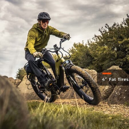 Cyrusher Roam E Bike Main