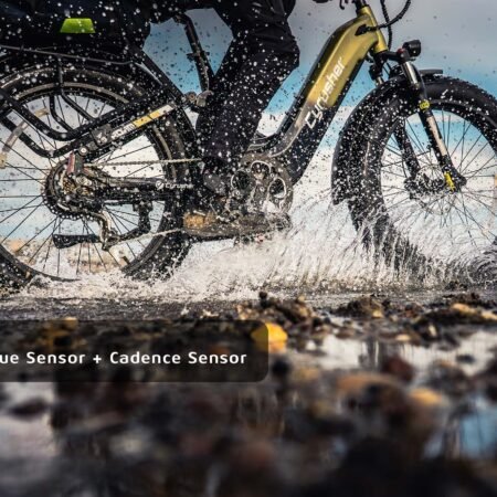 Cyrusher Roam E Bike Main