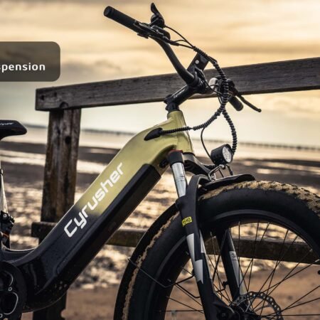 Cyrusher Roam E Bike Main