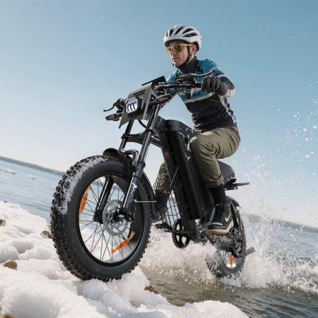 raptor W full suspension moped