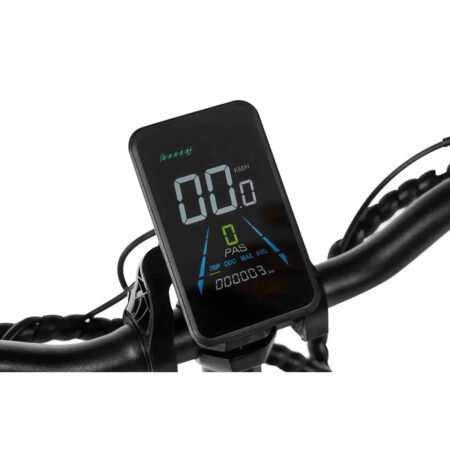 PIXARr Plus Fat Tyre Electric Bike