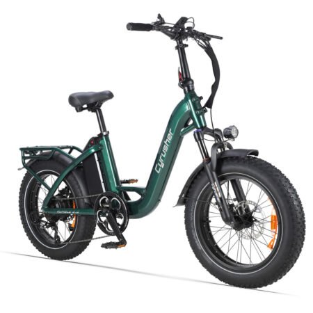 CyrusherRumble E Bike Green
